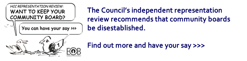 The Council's independent representation review recommends that community boards be disestablished. Find out more and have your say.