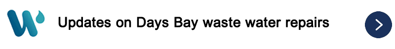 Information on Days Bay Waste Water fault