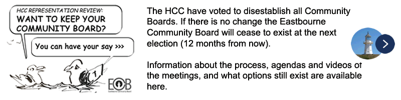 Seagulls discussing the issue: The HCC have voted to disestablish all Community Boards. If there is no change the Eastbourne Community Board will cease to exist at the next election (12 months from now). Information about the process, agendas and videos of the meetings, and what options still exist are available here.