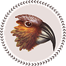 Kākā head image