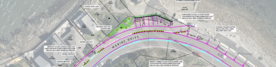 Sunshine to Days Bay path design